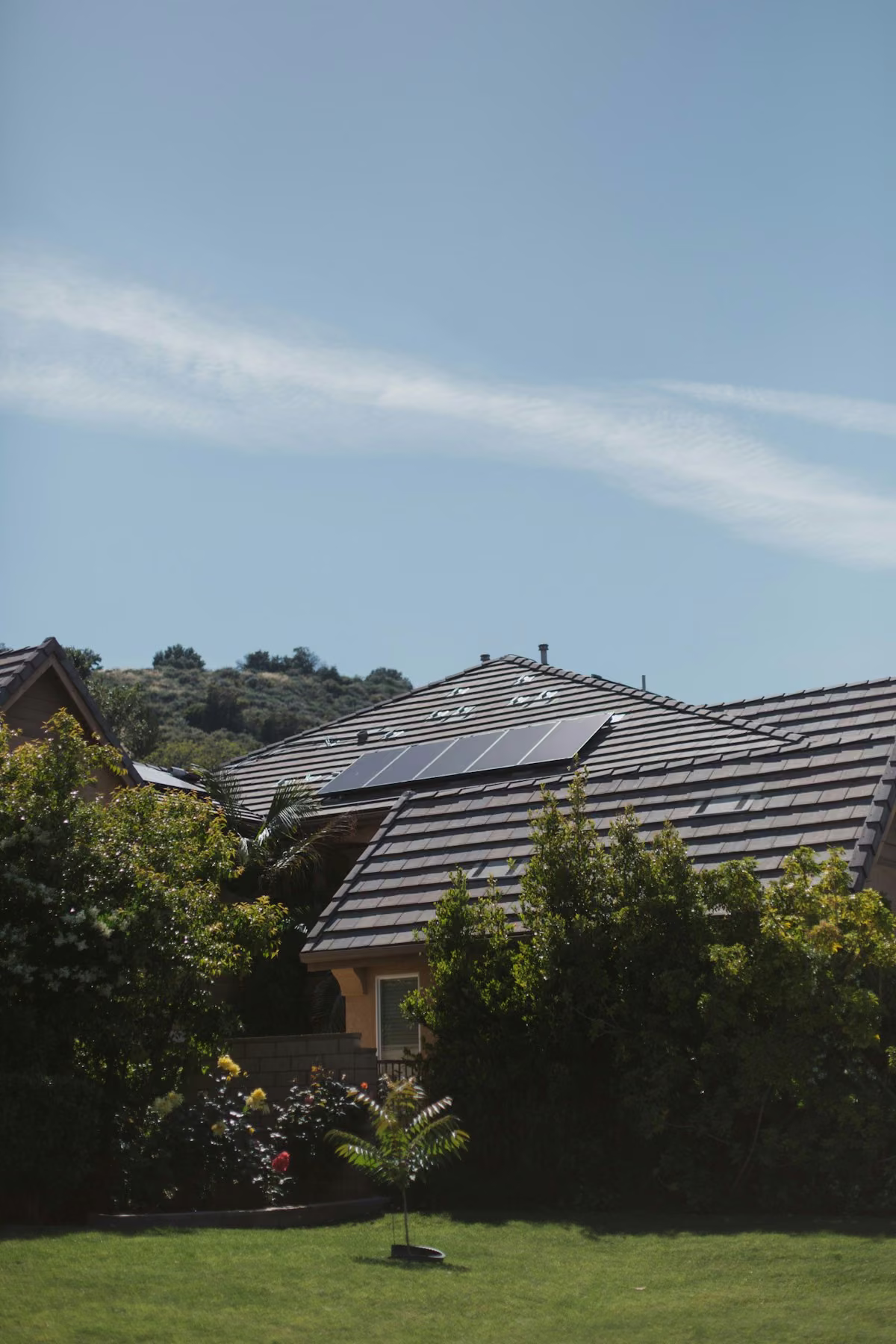 Leafy solar home